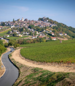 Chateau de Sancerre - General view of the village of Sancerre and its vineyard