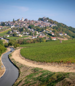 Château de Sancerre - Vue générale du village de Sancerre et de son vignoble